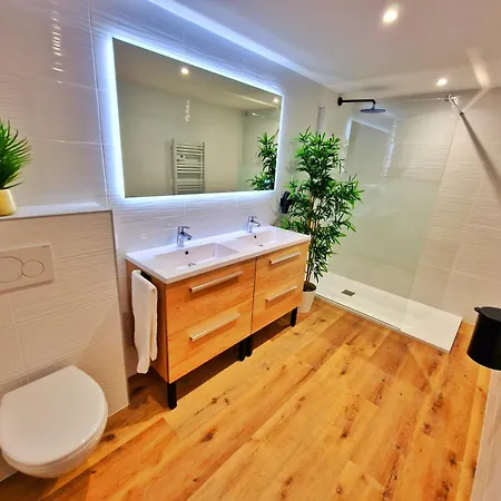 Loft & Spa-6 Pers-jacuzzi-parking-jardin-clim-colmar *