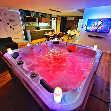 Loft & Spa-6 Pers-jacuzzi-parking-jardin-clim-colmar アパート