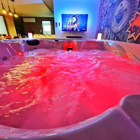 Loft & Spa-6 Pers-jacuzzi-parking-jardin-clim-colmar Muntzenheim