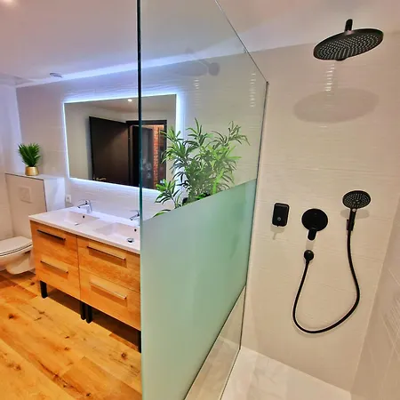 Loft & Spa-6 Pers-jacuzzi-parking-jardin-clim-colmar アパート