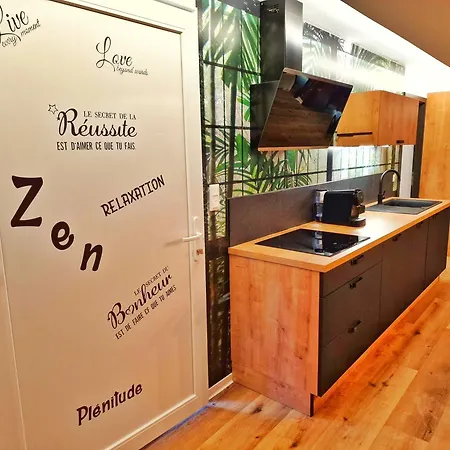 アパート Loft & Spa-6 Pers-jacuzzi-parking-jardin-clim-colmar *